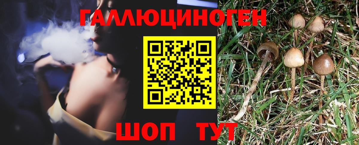Псилоцибиновые грибы мухоморы  Галлюциногенные грибы мухоморы  Вход с VPN  Горно-Алтайск 