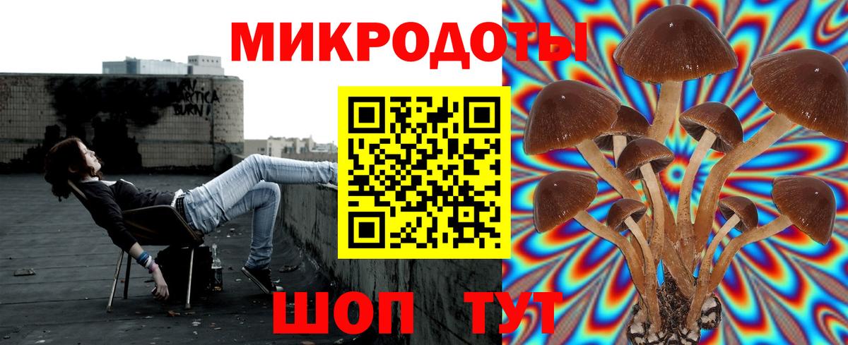 Псилоцибиновые грибы Psilocybine cubensis Горно-Алтайск
